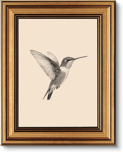 Vintage Gold Framed Wall Art, Sketch Birds Canvas Painting, Cute but Exquisite Wall Decor, No Glass No Glare, Suitable for Bedside Tables, Foyer, Bookshelves,【Hummingbird】-10L x 8W